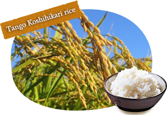 Tango Koshihikari rice